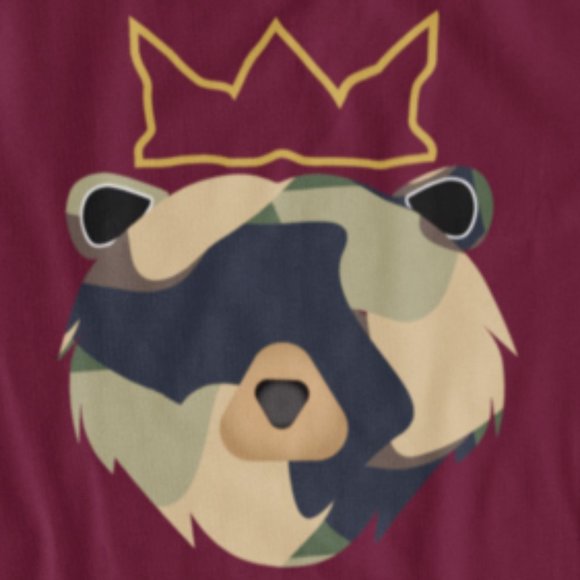 TEE SHIRT - Picture 4 of 4